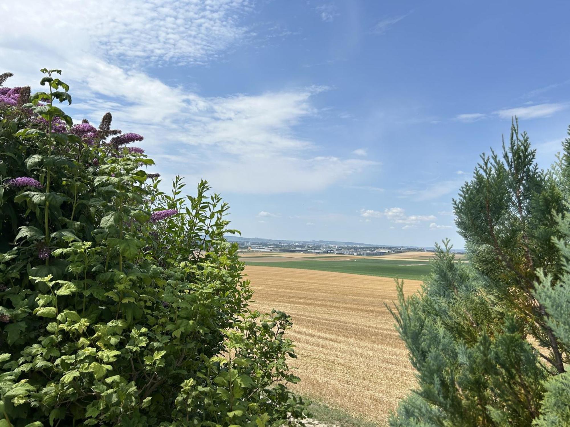 Villa Le Charme Cernay-les-Reims Esterno foto