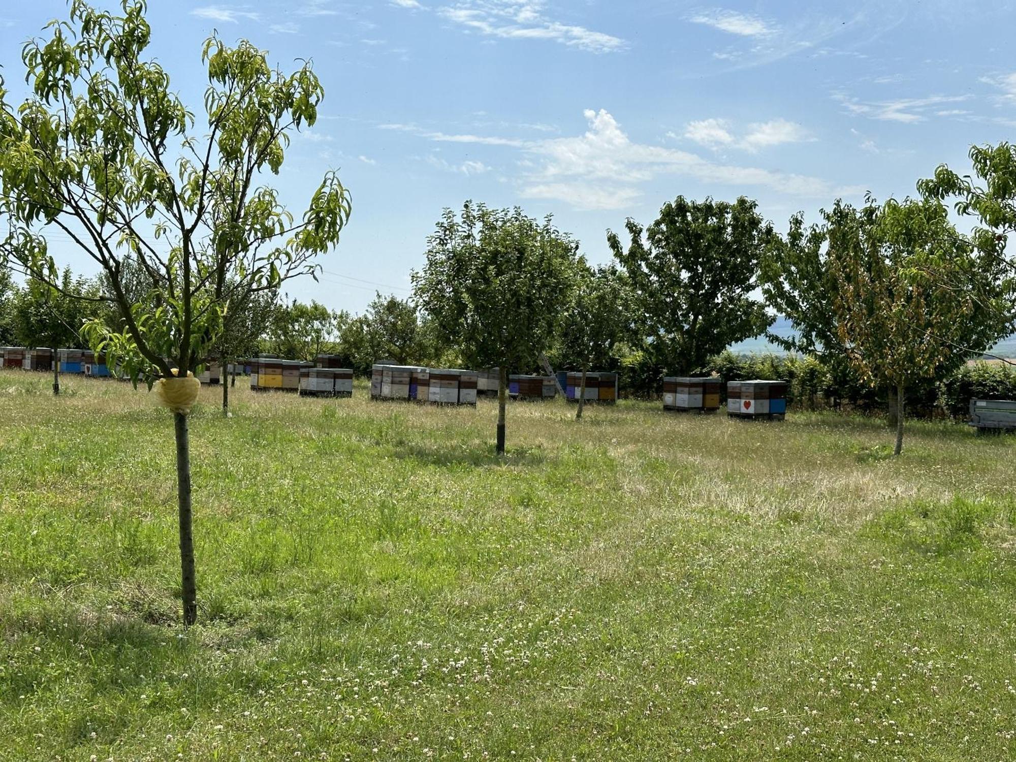 Villa Le Charme Cernay-les-Reims Esterno foto